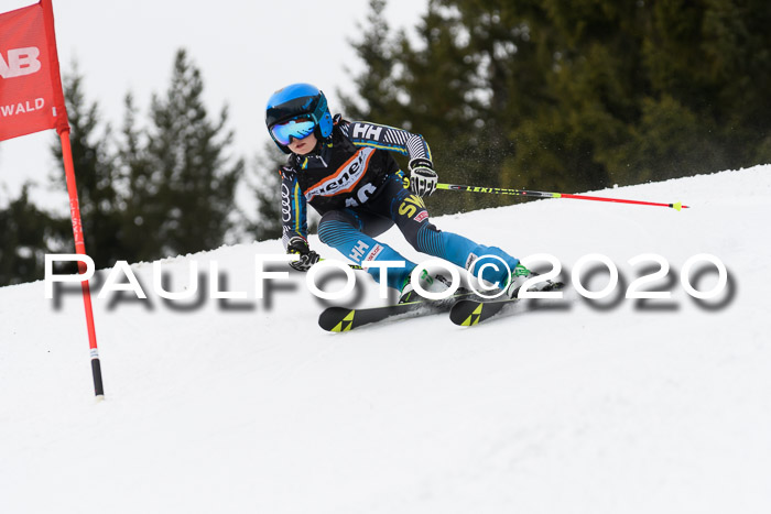 Ziener Cup WF u. U12 Kids Cross RSX 25.01.2020
