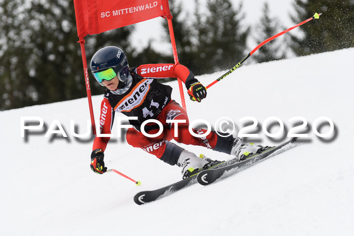 Ziener Cup WF u. U12 Kids Cross RSX 25.01.2020