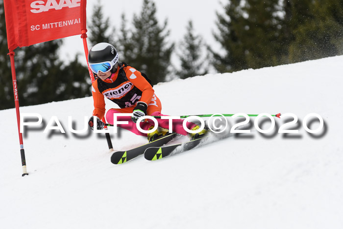 Ziener Cup WF u. U12 Kids Cross RSX 25.01.2020