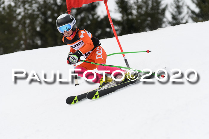 Ziener Cup WF u. U12 Kids Cross RSX 25.01.2020
