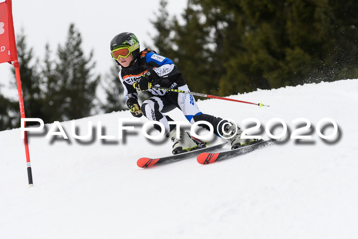 Ziener Cup WF u. U12 Kids Cross RSX 25.01.2020