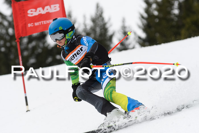 Ziener Cup WF u. U12 Kids Cross RSX 25.01.2020