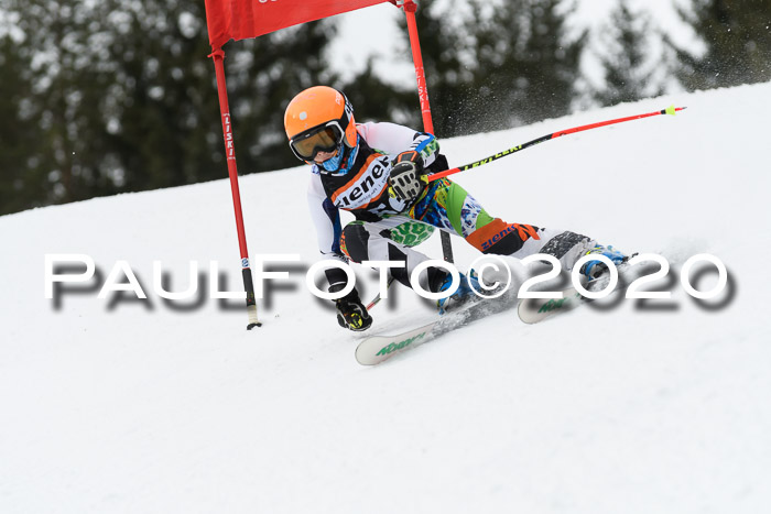 Ziener Cup WF u. U12 Kids Cross RSX 25.01.2020