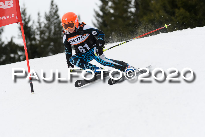 Ziener Cup WF u. U12 Kids Cross RSX 25.01.2020