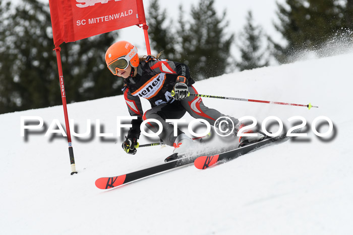 Ziener Cup WF u. U12 Kids Cross RSX 25.01.2020
