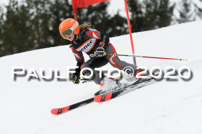 Ziener Cup WF u. U12 Kids Cross RSX 25.01.2020