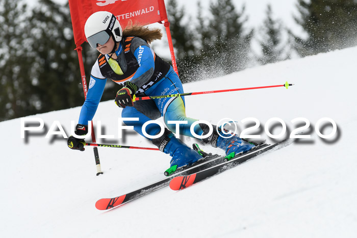 Ziener Cup WF u. U12 Kids Cross RSX 25.01.2020