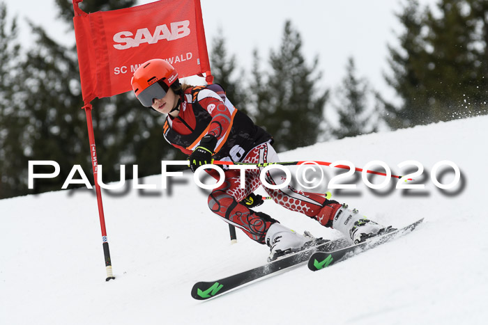 Ziener Cup WF u. U12 Kids Cross RSX 25.01.2020