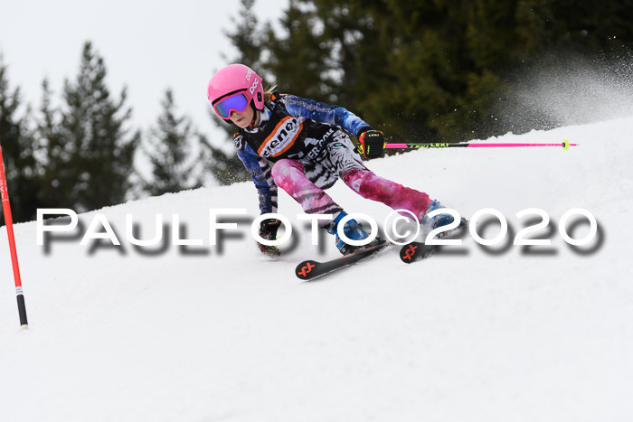 Ziener Cup WF u. U12 Kids Cross RSX 25.01.2020