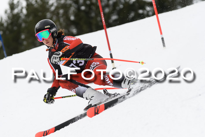 Ziener Cup WF u. U12 Kids Cross RSX 25.01.2020