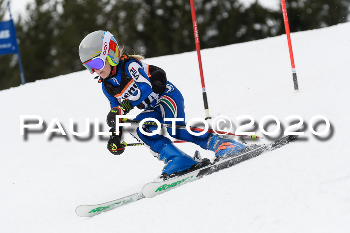 Ziener Cup WF u. U12 Kids Cross RSX 25.01.2020