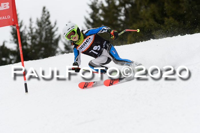 Ziener Cup WF u. U12 Kids Cross RSX 25.01.2020