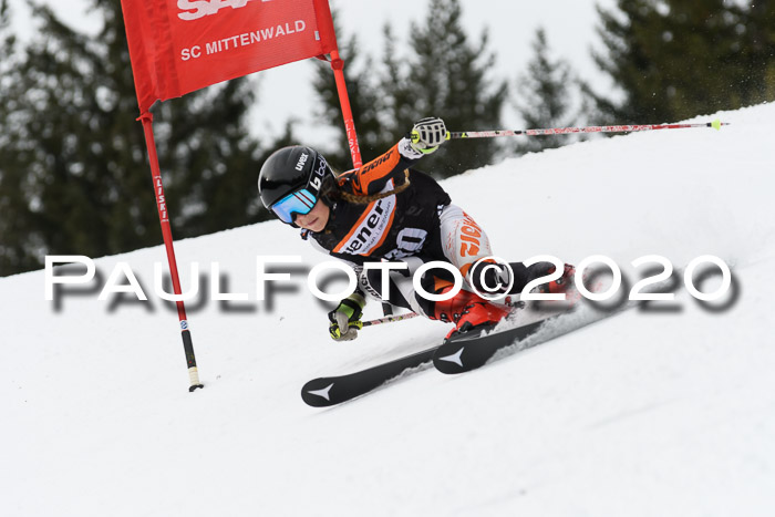 Ziener Cup WF u. U12 Kids Cross RSX 25.01.2020