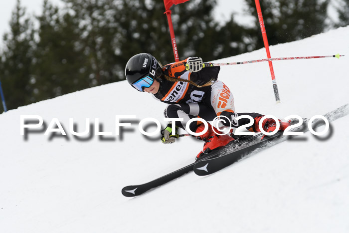 Ziener Cup WF u. U12 Kids Cross RSX 25.01.2020