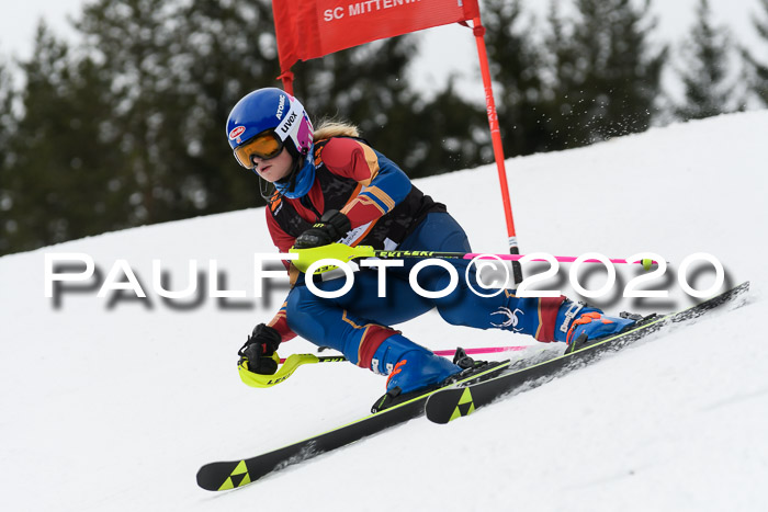 Ziener Cup WF u. U12 Kids Cross RSX 25.01.2020