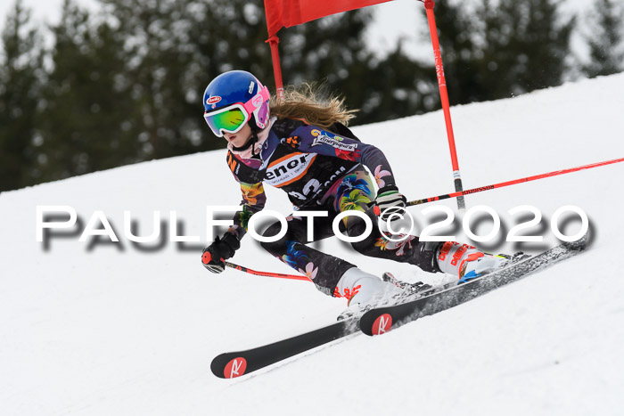 Ziener Cup WF u. U12 Kids Cross RSX 25.01.2020
