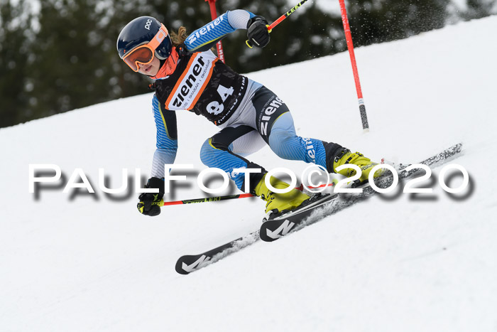 Ziener Cup WF u. U12 Kids Cross RSX 25.01.2020
