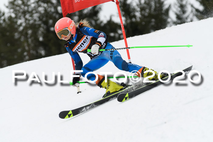 Ziener Cup WF u. U12 Kids Cross RSX 25.01.2020