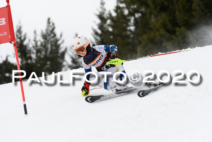 Ziener Cup WF u. U12 Kids Cross RSX 25.01.2020