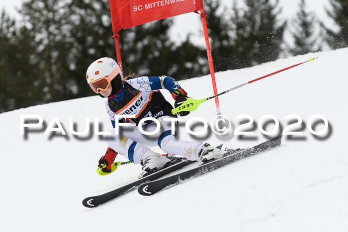 Ziener Cup WF u. U12 Kids Cross RSX 25.01.2020