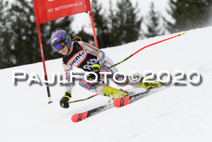 Ziener Cup WF u. U12 Kids Cross RSX 25.01.2020
