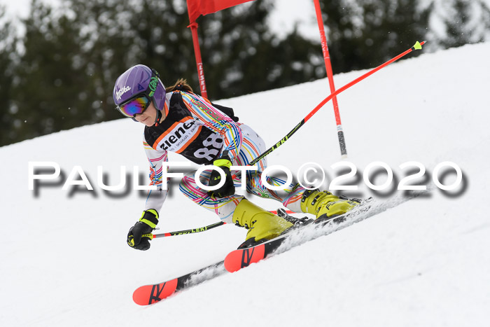 Ziener Cup WF u. U12 Kids Cross RSX 25.01.2020
