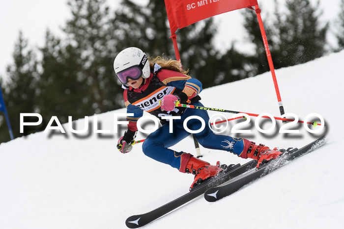 Ziener Cup WF u. U12 Kids Cross RSX 25.01.2020