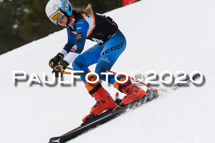 Ziener Cup WF u. U12 Kids Cross RSX 25.01.2020
