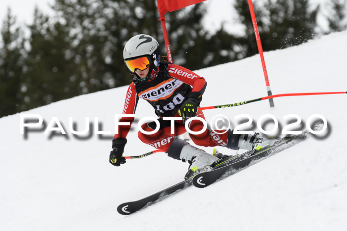 Ziener Cup WF u. U12 Kids Cross RSX 25.01.2020
