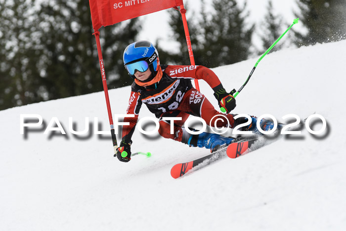 Ziener Cup WF u. U12 Kids Cross RSX 25.01.2020
