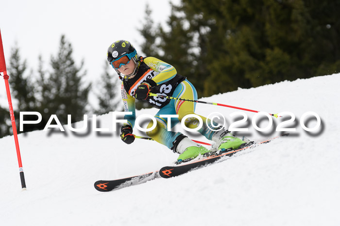 Ziener Cup WF u. U12 Kids Cross RSX 25.01.2020
