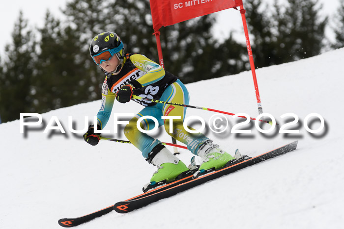 Ziener Cup WF u. U12 Kids Cross RSX 25.01.2020