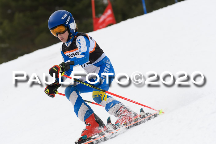 Ziener Cup WF u. U12 Kids Cross RSX 25.01.2020