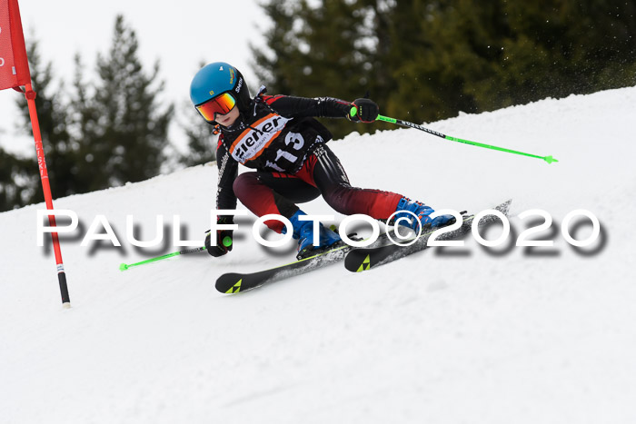 Ziener Cup WF u. U12 Kids Cross RSX 25.01.2020