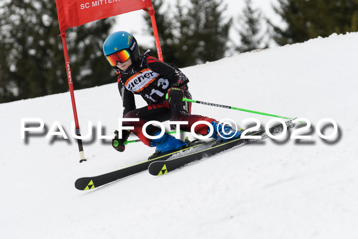 Ziener Cup WF u. U12 Kids Cross RSX 25.01.2020