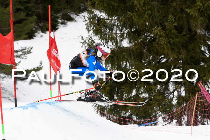 Ziener Cup WF u. U12 Kids Cross RSX 25.01.2020
