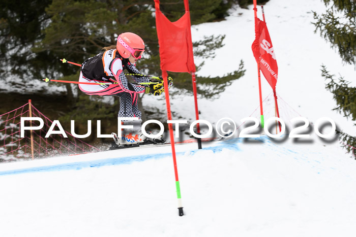 Ziener Cup WF u. U12 Kids Cross RSX 25.01.2020