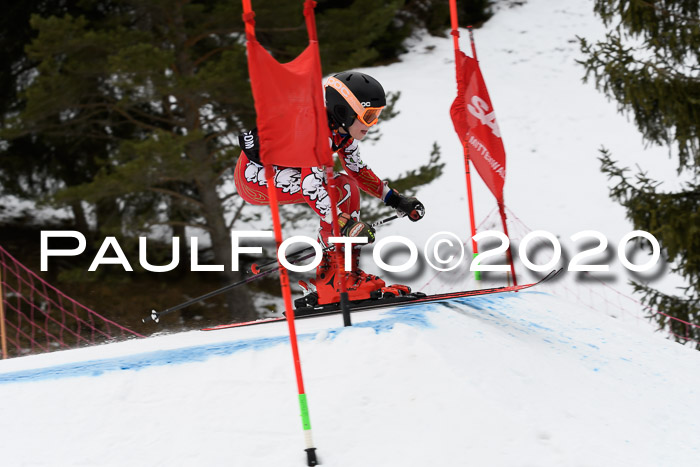 Ziener Cup WF u. U12 Kids Cross RSX 25.01.2020