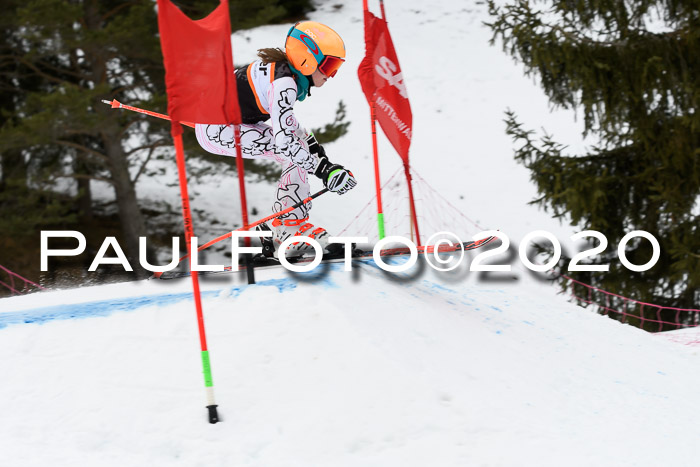 Ziener Cup WF u. U12 Kids Cross RSX 25.01.2020