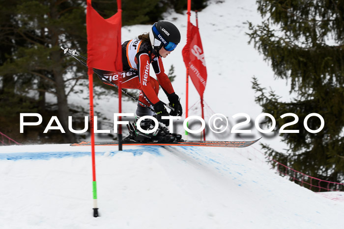 Ziener Cup WF u. U12 Kids Cross RSX 25.01.2020