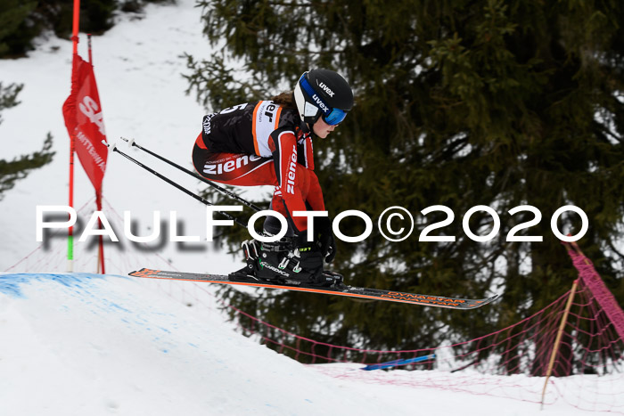 Ziener Cup WF u. U12 Kids Cross RSX 25.01.2020