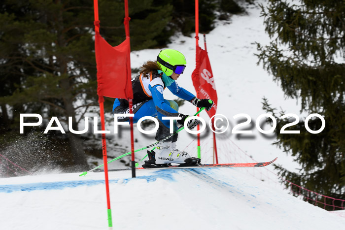Ziener Cup WF u. U12 Kids Cross RSX 25.01.2020
