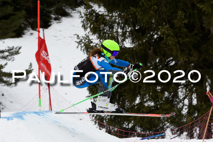 Ziener Cup WF u. U12 Kids Cross RSX 25.01.2020