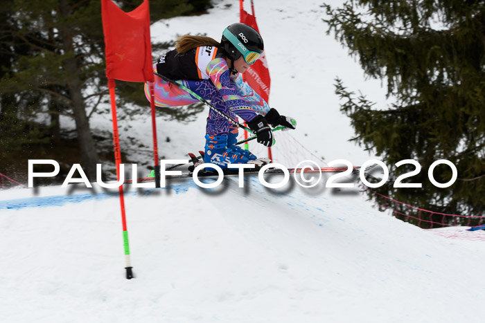 Ziener Cup WF u. U12 Kids Cross RSX 25.01.2020