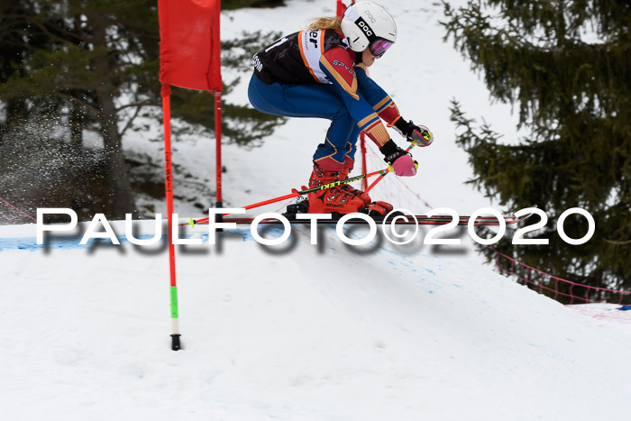 Ziener Cup WF u. U12 Kids Cross RSX 25.01.2020