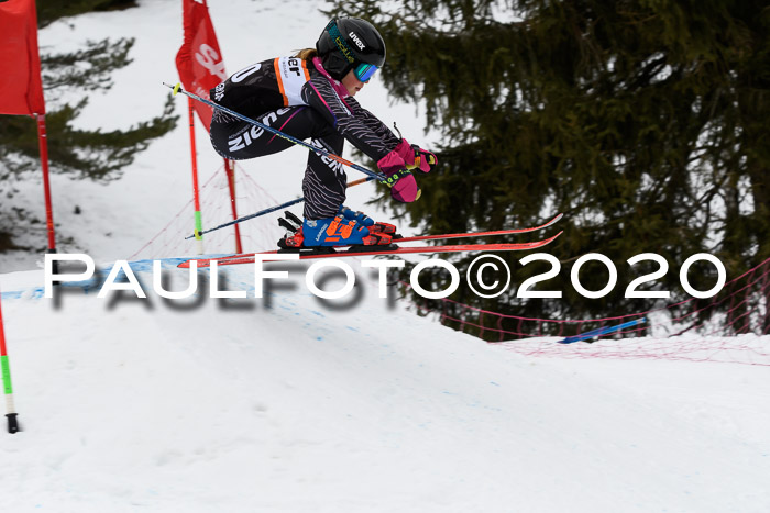 Ziener Cup WF u. U12 Kids Cross RSX 25.01.2020