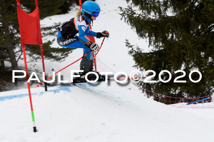 Ziener Cup WF u. U12 Kids Cross RSX 25.01.2020