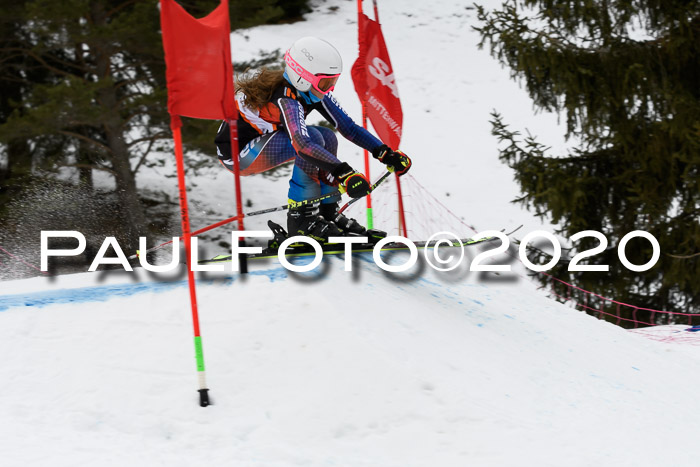 Ziener Cup WF u. U12 Kids Cross RSX 25.01.2020