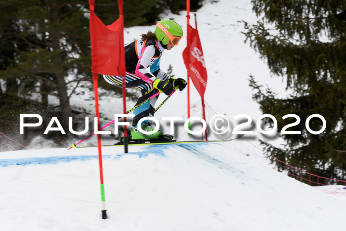 Ziener Cup WF u. U12 Kids Cross RSX 25.01.2020