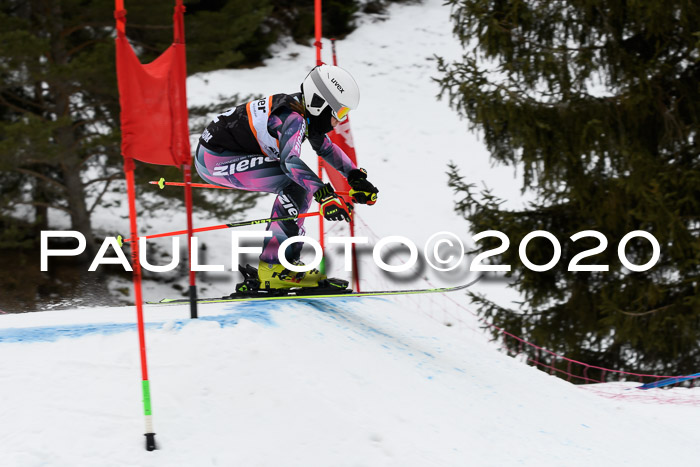 Ziener Cup WF u. U12 Kids Cross RSX 25.01.2020